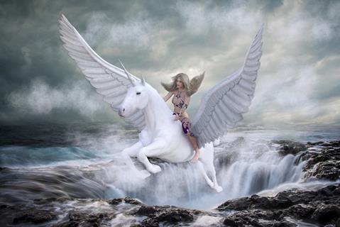 Flying The Pegasus jigsaw puzzle